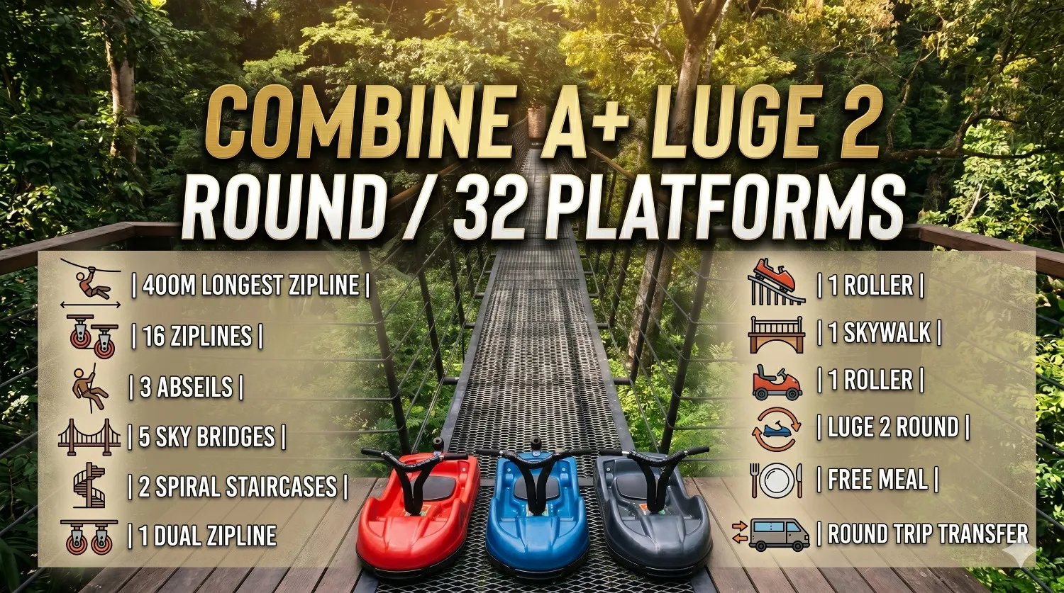 Combine A+ LUGE 2 round tickets